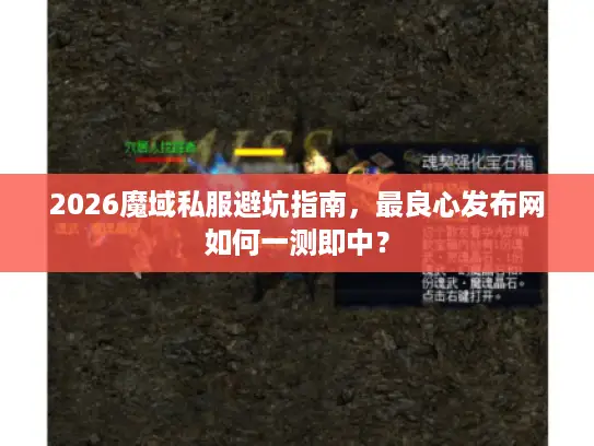 2026魔域私服避坑指南，最良心发布网如何一测即中？