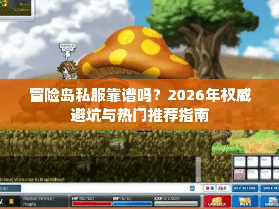 冒险岛私服靠谱吗？2026年权威避坑与热门推荐指南