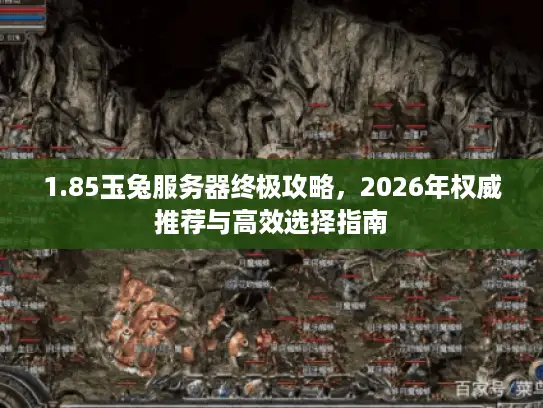 1.85玉兔服务器终极攻略，2026年权威推荐与高效选择指南