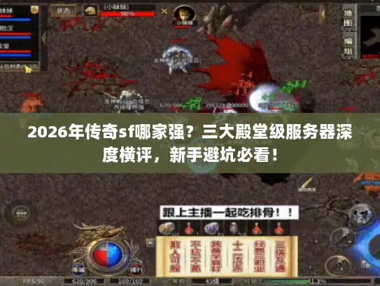 2026年传奇sf哪家强?三大殿堂级服务器深度横评,新手避坑必看! 2026年传奇sf哪家强?三大殿堂级服务器深度横评,新手避坑必看!