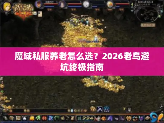 魔域私服养老怎么选？2026老鸟避坑终极指南