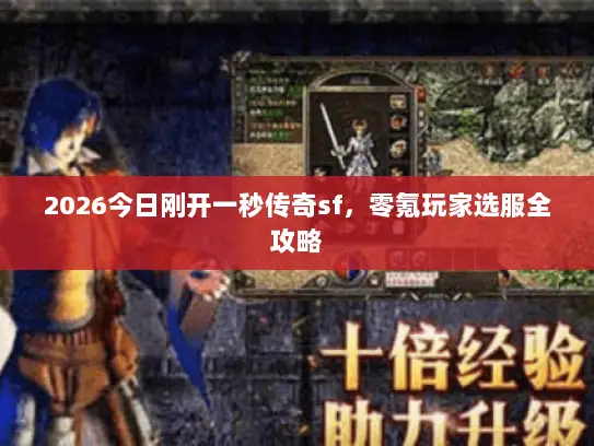 2026今日刚开一秒传奇sf，零氪玩家选服全攻略
