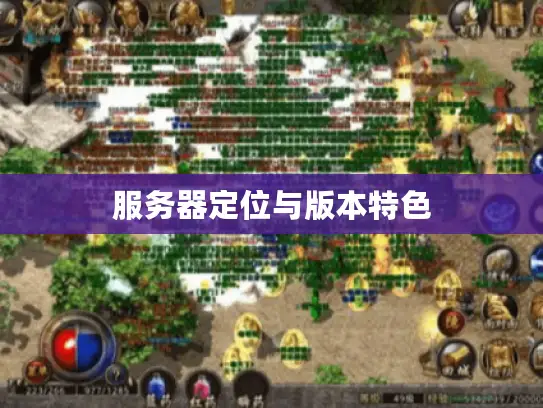 服务器定位与版本特色