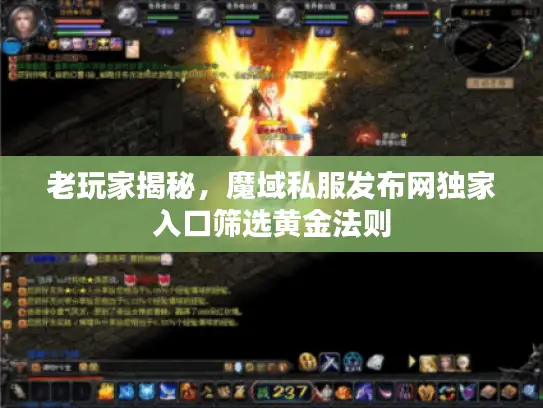 老玩家揭秘，魔域私服发布网独家入口筛选黄金法则