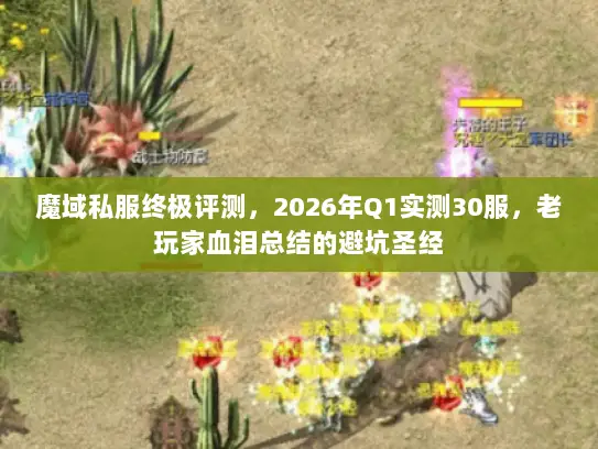 魔域私服终极评测，2026年Q1实测30服，老玩家血泪总结的避坑圣经