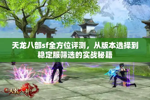 天龙八部sf全方位评测，从版本选择到稳定服筛选的实战秘籍