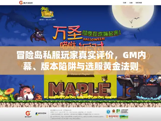 冒险岛私服玩家真实评价，GM内幕、版本陷阱与选服黄金法则