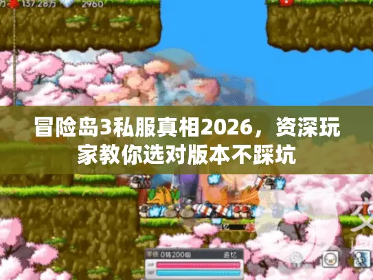 冒险岛3私服真相2026,资深玩家教你选对版本不踩坑 冒险岛3私服真相2026,资深玩家教你选对版本不踩坑