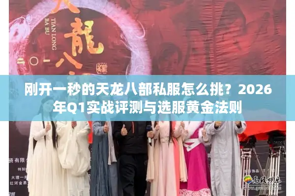 刚开一秒的天龙八部私服怎么挑？2026年Q1实战评测与选服黄金法则