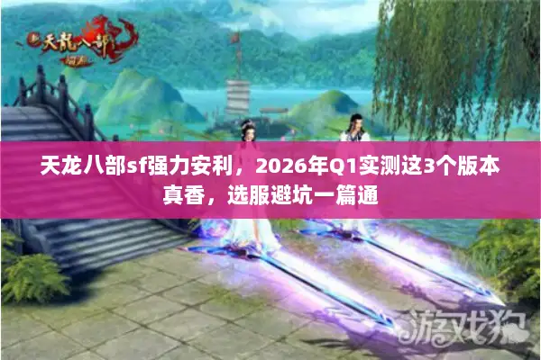 天龙八部sf强力安利，2026年Q1实测这3个版本真香，选服避坑一篇通