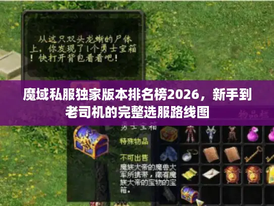 魔域私服独家版本排名榜2026，新手到老司机的完整选服路线图
