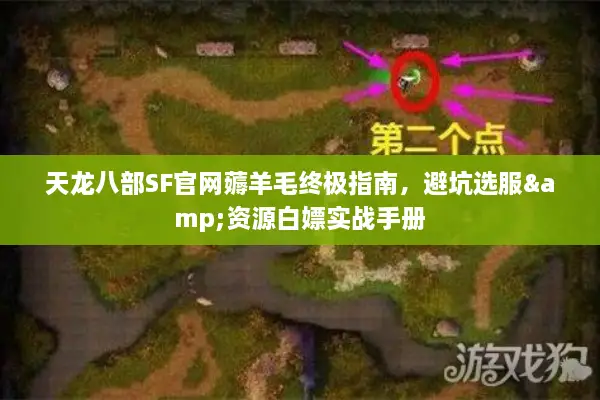 天龙八部SF官网薅羊毛终极指南，避坑选服&资源白嫖实战手册