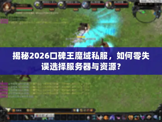 揭秘2026口碑王魔域私服，如何零失误选择服务器与资源？