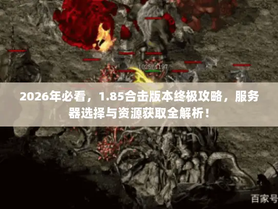 2026年必看，1.85合击版本终极攻略，服务器选择与资源获取全解析！