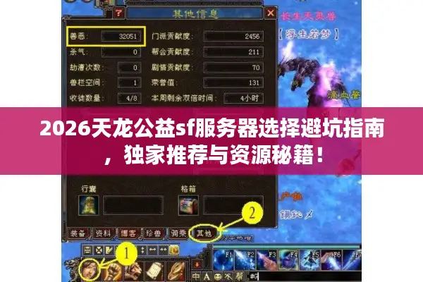 2026天龙公益sf服务器选择避坑指南，独家推荐与资源秘籍！