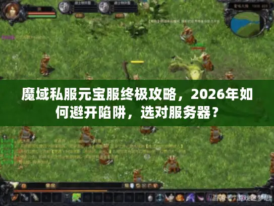 魔域私服元宝服终极攻略，2026年如何避开陷阱，选对服务器？
