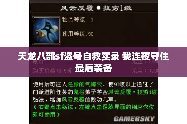 天龙八部sf盗号自救实录 我连夜守住最后装备