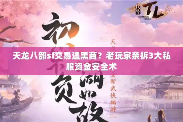 天龙八部sf交易遇黑商？老玩家亲拆3大私服资金安全术