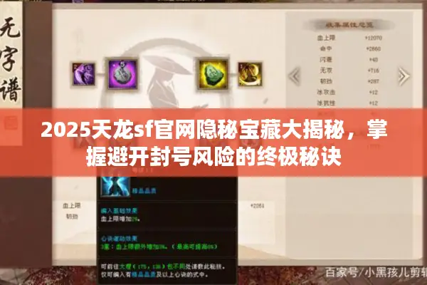 2025天龙sf官网隐秘宝藏大揭秘，掌握避开封号风险的终极秘诀