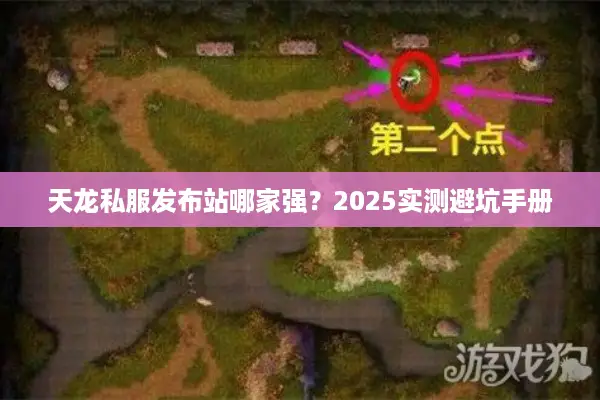天龙私服发布站哪家强？2025实测避坑手册