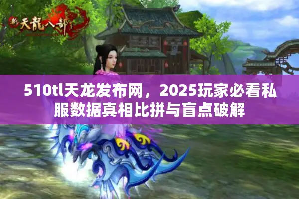 510tl天龙发布网，2025玩家必看私服数据真相比拼与盲点破解