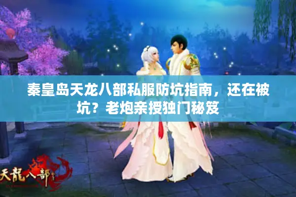 秦皇岛天龙八部私服防坑指南，还在被坑？老炮亲授独门秘笈