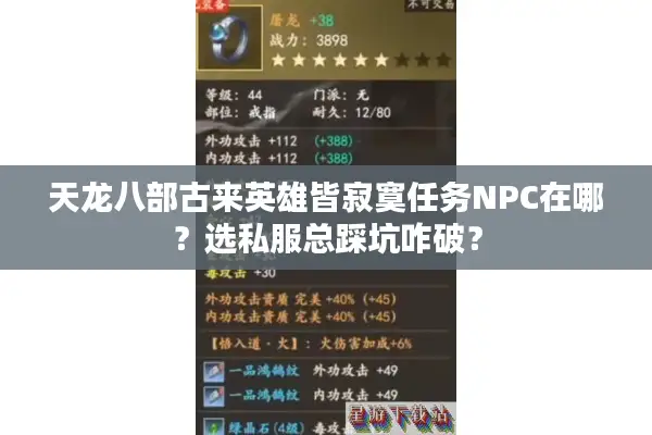 天龙八部古来英雄皆寂寞任务NPC在哪？选私服总踩坑咋破？