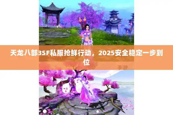 天龙八部3SF私服抢鲜行动,2025安全稳定一步到位 天龙八部3SF私服抢鲜行动,2025安全稳定一步到位