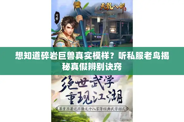 想知道碎岩巨兽真实模样?听私服老鸟揭秘真假辨别诀窍 想知道碎岩巨兽真实模样?听私服老鸟揭秘真假辨别诀窍