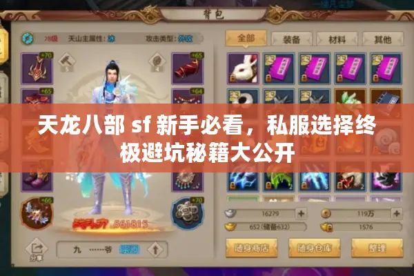 天龙八部 sf 新手必看，私服选择终极避坑秘籍大公开