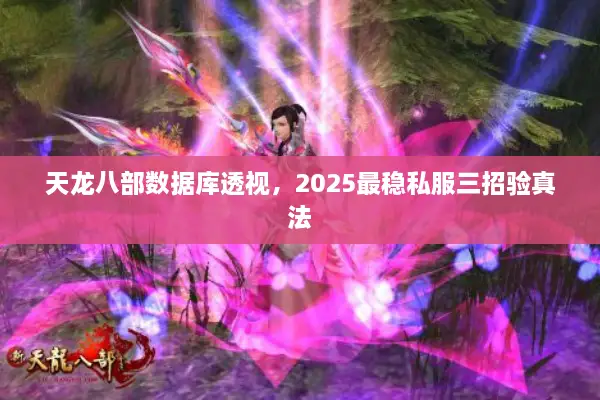 天龙八部数据库透视，2025最稳私服三招验真法