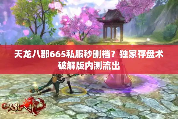 天龙八部665私服秒删档？独家存盘术破解版内测流出