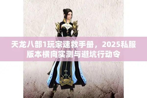 天龙八部1玩家速救手册,2025私服版本横向实测与避坑行动令 天龙八部1玩家速救手册,2025私服版本横向实测与避坑行动令