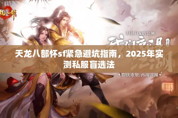 天龙八部怀sf紧急避坑指南，2025年实测私服盲选法