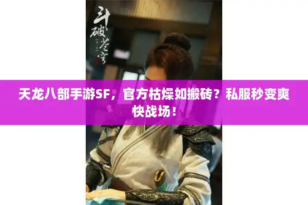 天龙八部手游SF,官方枯燥如搬砖?私服秒变爽快战场! 天龙八部手游SF,官方枯燥如搬砖?私服秒变爽快战场!