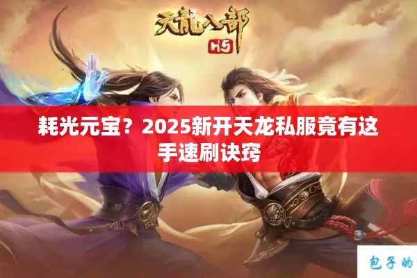 耗光元宝？2025新开天龙私服竟有这手速刷诀窍