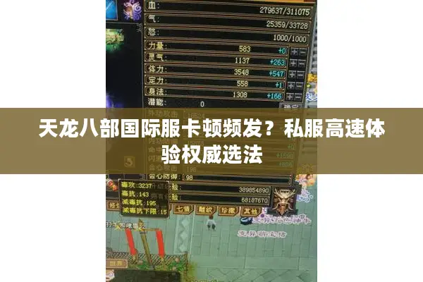 天龙八部国际服卡顿频发？私服高速体验权威选法