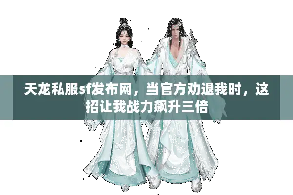 天龙私服sf发布网，当官方劝退我时，这招让我战力飙升三倍