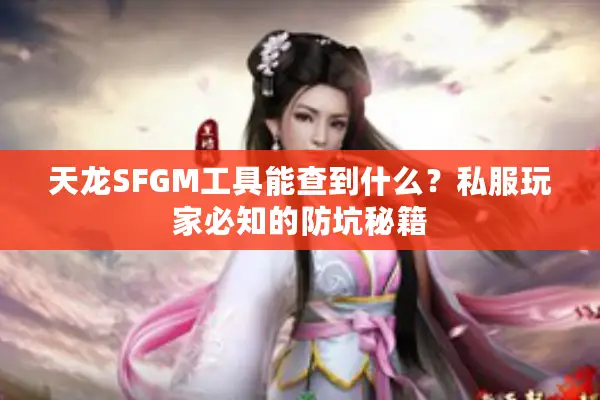 天龙SFGM工具能查到什么？私服玩家必知的防坑秘籍