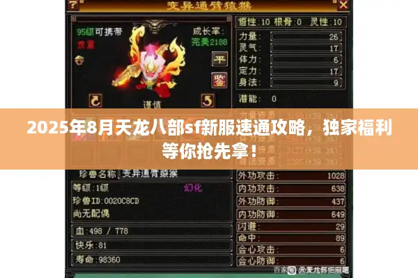 2025年8月天龙八部sf新服速通攻略，独家福利等你抢先拿！