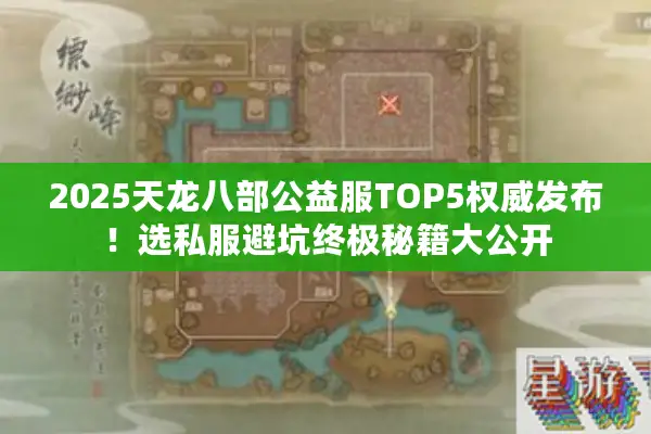 2025天龙八部公益服TOP5权威发布！选私服避坑终极秘籍大公开