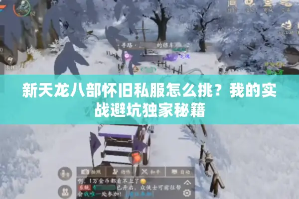 新天龙八部怀旧私服怎么挑？我的实战避坑独家秘籍