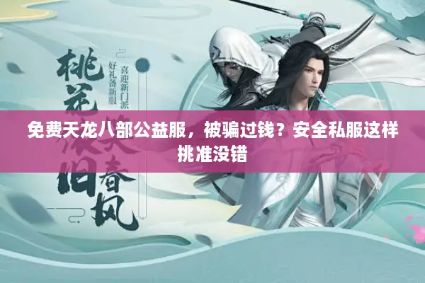 免费天龙八部公益服，被骗过钱？安全私服这样挑准没错