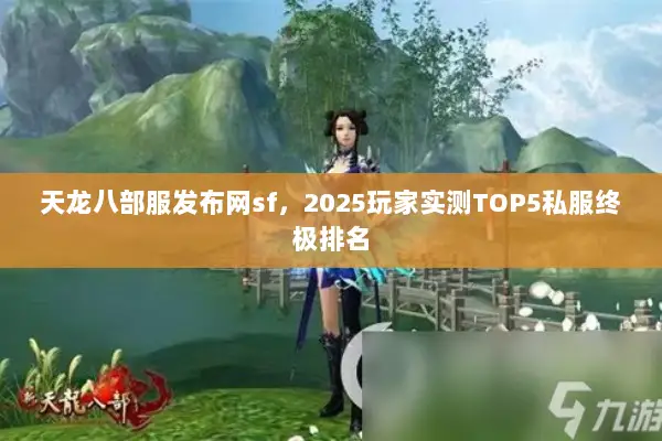天龙八部服发布网sf，2025玩家实测TOP5私服终极排名